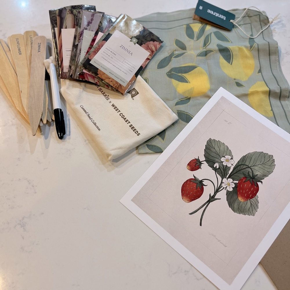 Items from past Jilly Box! Gardening seeds, scarf and strawberry print